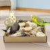 Nature Color Natural Bird Toy Foraging Parrot Shredding Toys Box for Small-Medium Birds