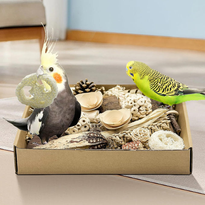 Nature Color Natural Bird Toy Foraging Parrot Shredding Toys Box for Small-Medium Birds