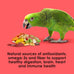 kaytee fiesta parrot food 2.5 pounds nutritious fun blend supports skin feather digestion brain heart health