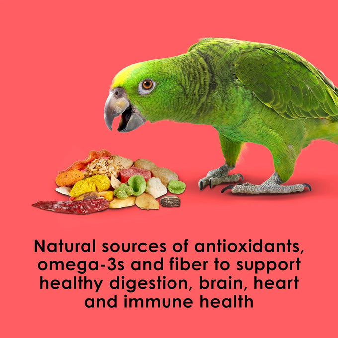 kaytee fiesta parrot food 2.5 pounds nutritious fun blend supports skin feather digestion brain heart health