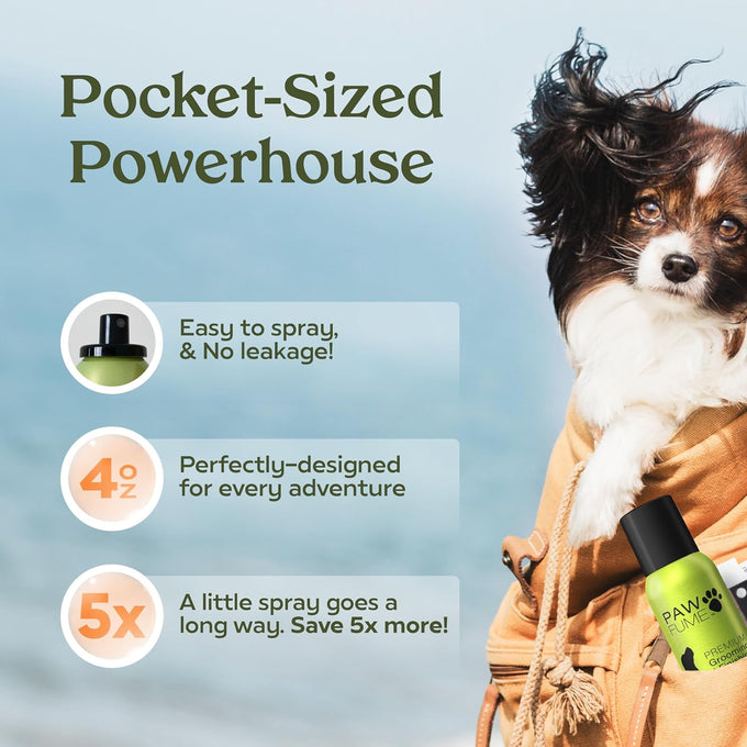 pawfume dog perfume spray long lasting scent for grooming show dog 1-pack hypoallergenic alcohol-free detangling formula moisturizing pet cologne spray