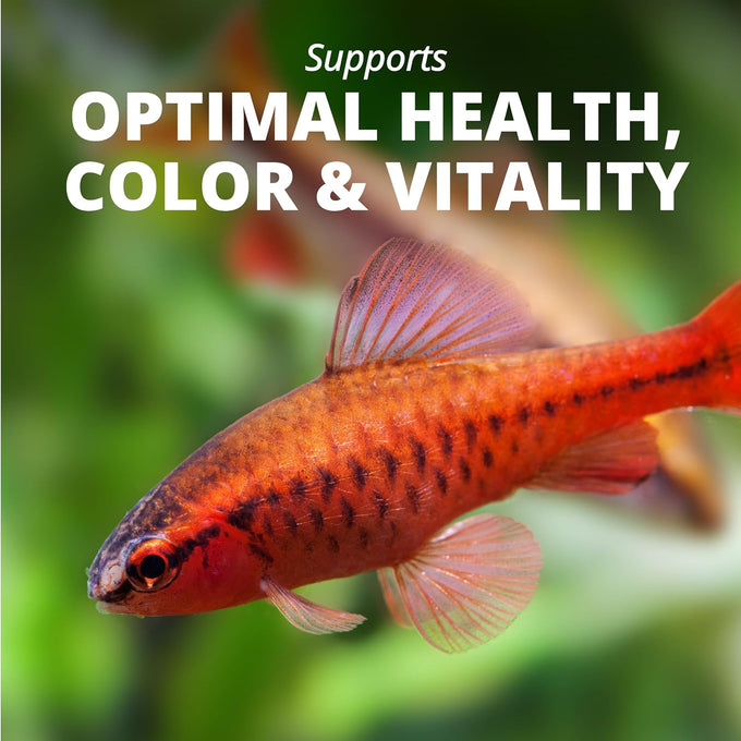 TetraPro Tropical Color Crisps fish food with natural color enhancers, 7.41 ounces
