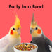 Kaytee Fiesta Cockatiel Food, 2.5 pounds, Nutritious and Fun Blend for Skin, Feather, Digestion, Brain, and Heart Health