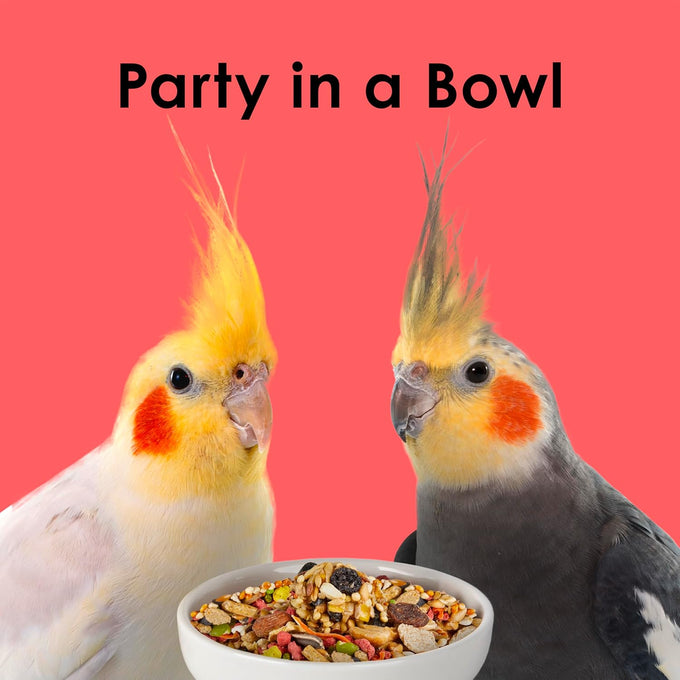 Kaytee Fiesta Cockatiel Food, 2.5 pounds, Nutritious and Fun Blend for Skin, Feather, Digestion, Brain, and Heart Health