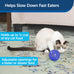 PetSafe Slimcat Slow Feeder Ball for Cats - Interactive Puzzle Game with Adjustable Openings and Portion Control (Blue)