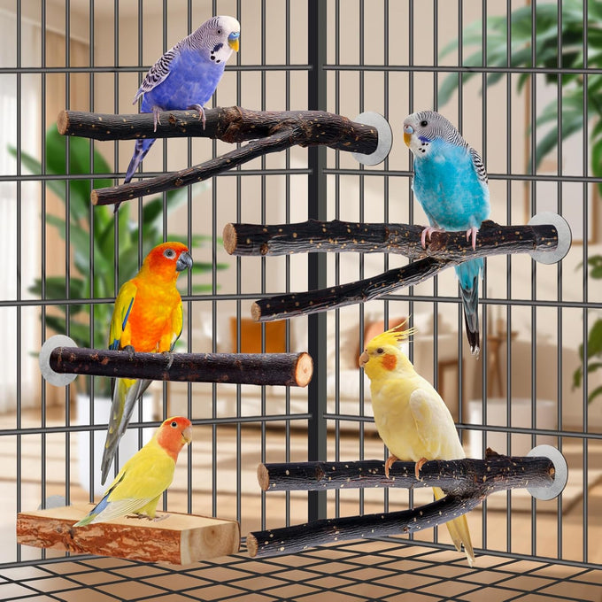 parakeet perch budgie perch wood stand fork toys multi-branch perch platform toy for small conures cockatiel parrotlet lovebird parrot finches