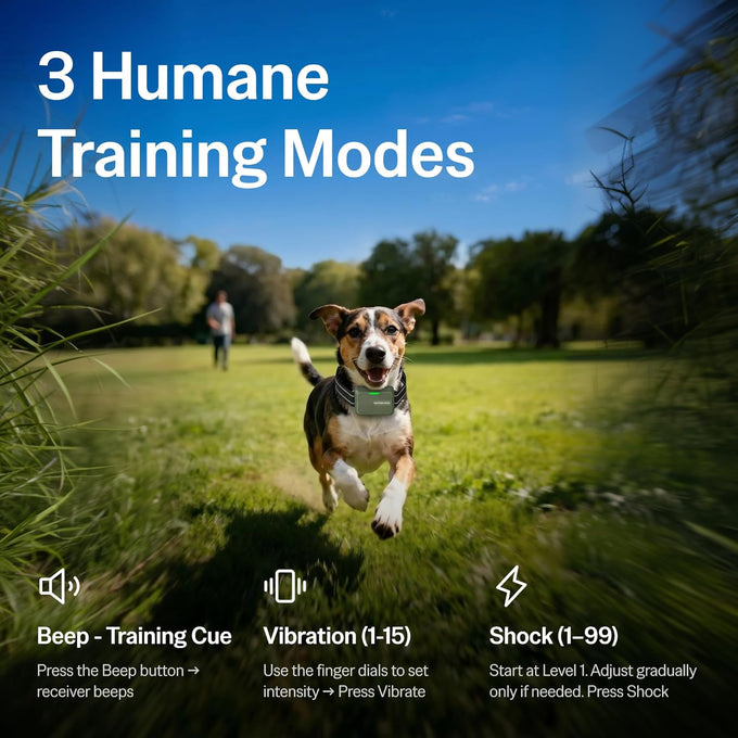 safe-shock-latest-version-dog-shock-collar-with-remote-control-4500ft-range