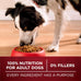 Purina ONE True Instinct Turkey & Venison Dry Dog Food - 7.4 lb