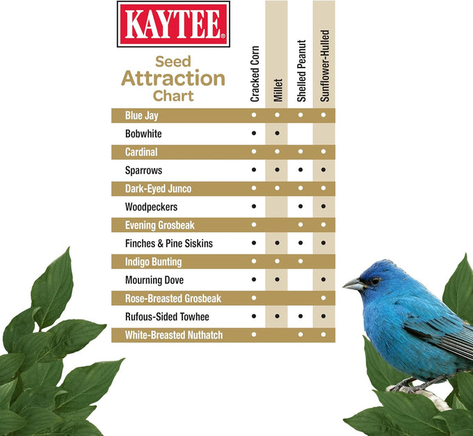 Kaytee Wild Bird No Mess or Waste Free Seed Blend for Blue Jays Woodpeckers and More 10 Pound