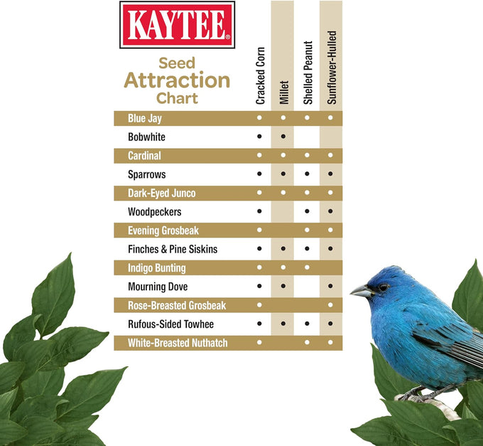 Kaytee Wild Bird No Mess or Waste Free Seed Blend for Blue Jays Woodpeckers and More 10 Pound