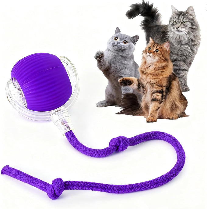 Rocfish Durable Interactive Cat Toy for Indoor Cats, Automatic Chase Ball Toy Purple