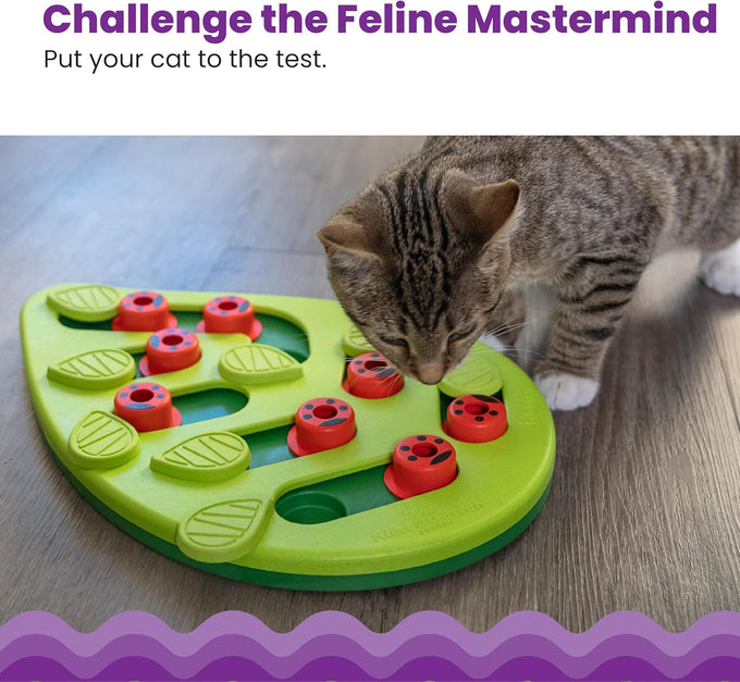 Nina Ottosson Buggin' Out Puzzle Feeder, 13.9" x 11.5", Level 2 Slow Feeder Enrichment Toy for Indoor Cats