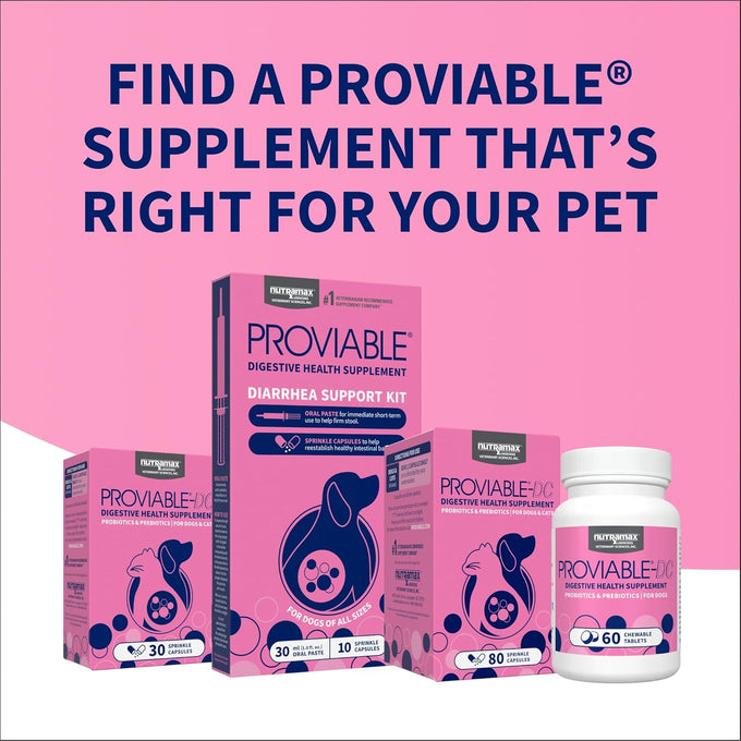 nutramax proviable probiotics for dogs and cats, 5 billion cfus, 80 capsules