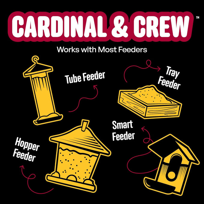 Cool Birds Cardinal & Crew 10 lb Black Oil Sunflower Blend for Cardinals, Grosbeaks & Chickadees Bird Food