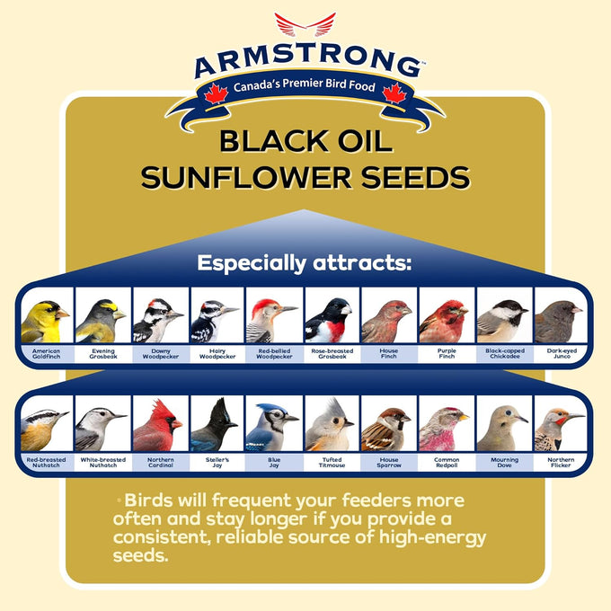 armstrong black oil sunflower bird seed, 35.3 pounds, northern cardinals, blue jays, hairy woodpeckers