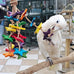 Wood stars & leather toy for small to medium parrots, bird toys for sun conures, green cheeked conures, cockatiels, and more