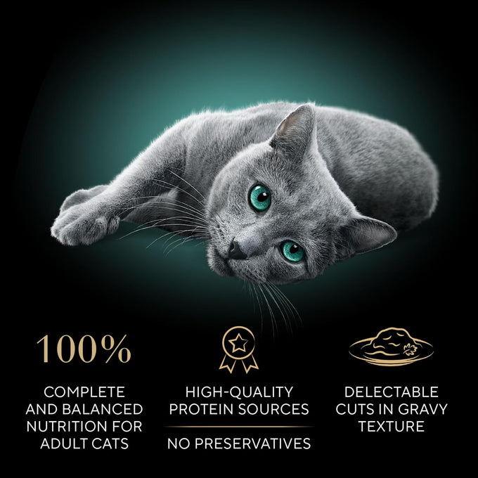 sheba perfect portions wet cat food cuts in gravy, roasted chicken entree and turkey entree, 12-count twin-pack trays