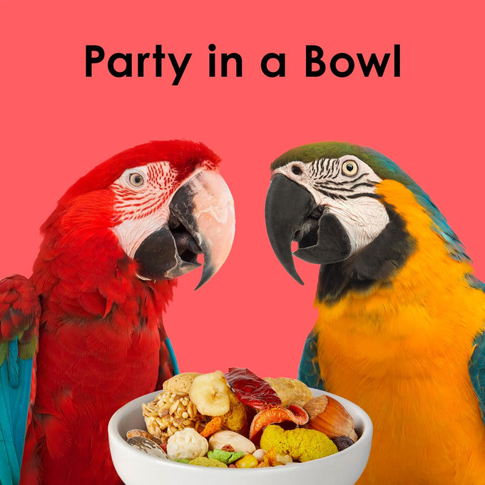 Kaytee Fiesta Macaws Bird Food, 25 lb, Premium Blend, Fruits, Vegetables, Seeds, Grains, Fun Shapes and Textures