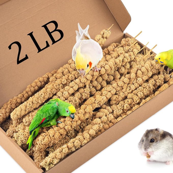 katumo 1.1lb natural sun-dried bird millet parrot food for parakeet budgie cockatiel finches lovebird conure parrots hamster