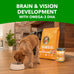 IAMS Proactive Health Puppy Wet Dog Food, Chicken & Rice, 13oz Cans