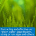 API AlgaeFIX Algae Control, 16-Ounce Bottle, Fast-Acting and Safe for Aquariums