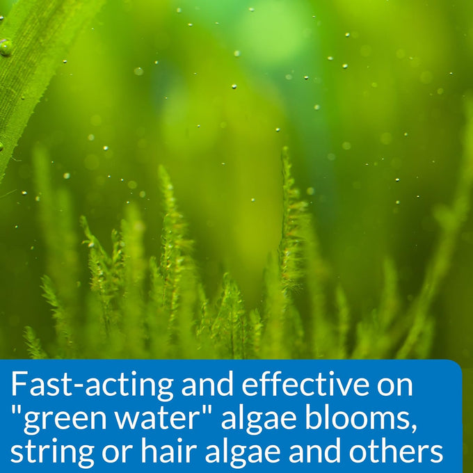 API AlgaeFIX Algae Control, 16-Ounce Bottle, Fast-Acting and Safe for Aquariums