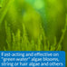 API AlgaeFIX Algae Control, 16-Ounce Bottle, Fast-Acting and Safe for Aquariums
