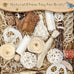 Nature Color Natural Bird Toy Foraging Parrot Shredding Toys Box for Small-Medium Birds
