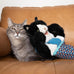 Cat Sumo Wrestler Puppet, Interactive Hand Mitt with Durable Protective Sleeve and Catnip for Safe Play