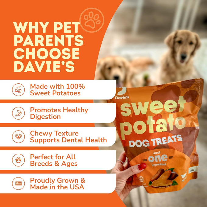 Davie's 100% Natural Sweet Potato Dog Chews, Low Fat, Low Allergenic, 1 lb. Bag