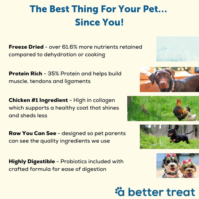 A Better Dog Food Chicken Dry Dog Food Raw Freeze Dried