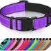 Joytale Reflective Dog Collar with Soft Neoprene Padded, Metal D-Ring, Adjustable for Large Dogs in Teal