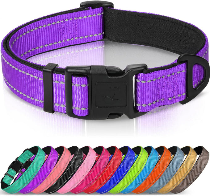 Joytale Reflective Dog Collar with Soft Neoprene Padded, Metal D-Ring, Adjustable for Large Dogs in Teal