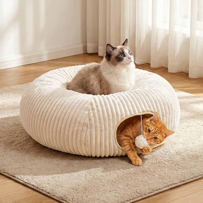 Cat tunnel bed with 40 interactive toys, collapsible play tunnel for indoor kittens, white