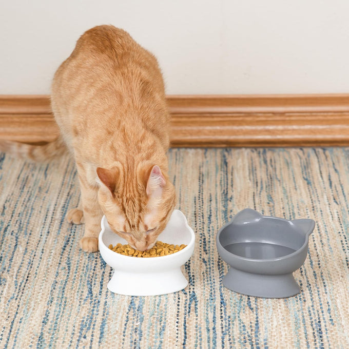 Whisker-friendly elevated cat bowls set of 2 white and gray modern pedestal design