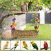 Natural Bird Swing Toys with Wood Perch for Parakeets, Budgies, Conures, Cockatiels, Lovebirds