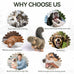 All for Paws large interactive dog squirrel plush squeaky toy for puppy enrichment and stimulation