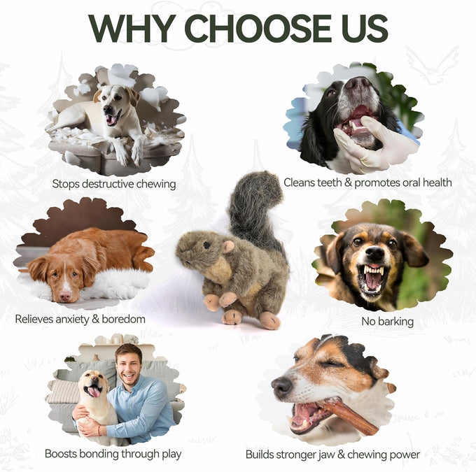 All for Paws large interactive dog squirrel plush squeaky toy for puppy enrichment and stimulation