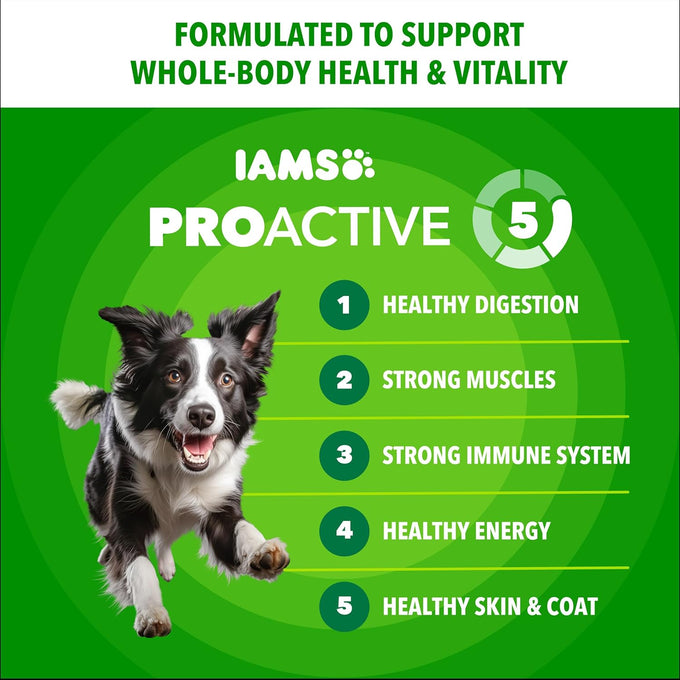 Iams proactive health minichunks premium dry adult dog food, 15 lb bag, chicken protein, antioxidants