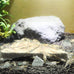 SunGrow Shrimp Rocks for Crayfish, Hermit Crab, Snails, Aquarium Decor, Crystal Red, Amano, Ghost Shrimps, Nano Tank Accessories