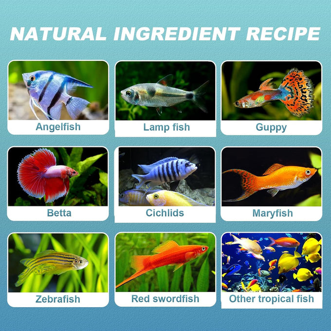 8 oz Tropical Fish Flakes - High Protein, Krill & Spirulina for Betta, Guppies, Color Enhancing Formula