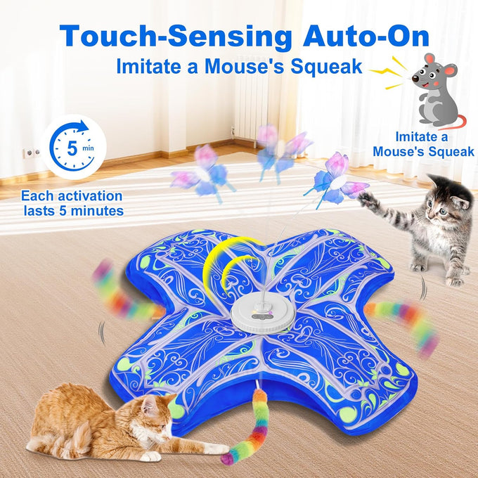 Qraxond Rechargeable Touch Activated Hide and Seek Kitten Toy for Indoor Cats, Blue