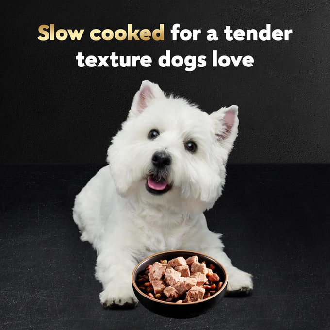 Cesar Wet Dog Food Variety Pack, Grilled Steak & Eggs, Chicken & Liver, 24 Trays