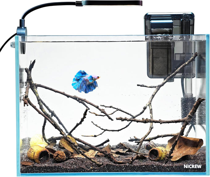 Nicrew 2.5 gallon nano aquarium kit, ultra-clear rimless desktop fish tank with light, filter, gravel, and rock, black complete version