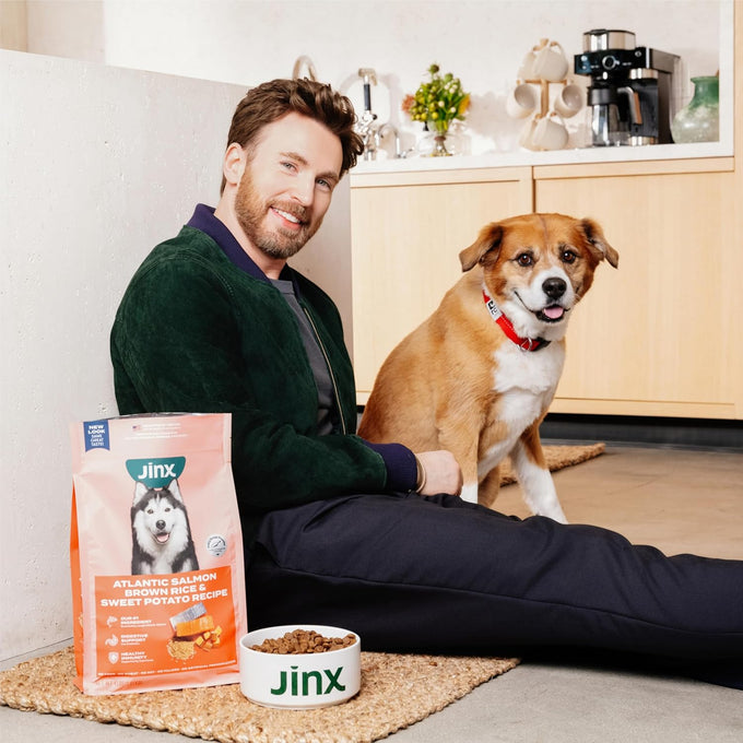 Jinx Premium Grain-Free Dry Dog Food - Real Chicken, Sweet Potato & Carrot
