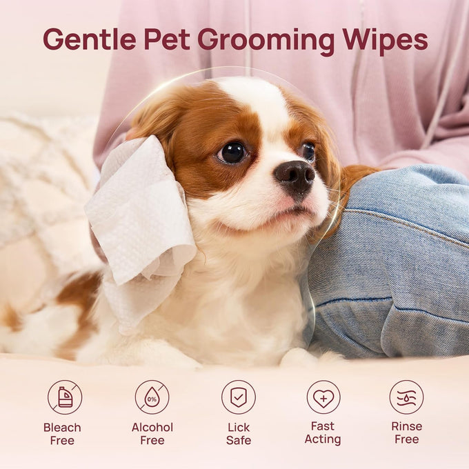 HICC Pet Wipes for Dogs and Cats, Vet-Recommended, Fermented Coconut Oil, 100pcs, Rose