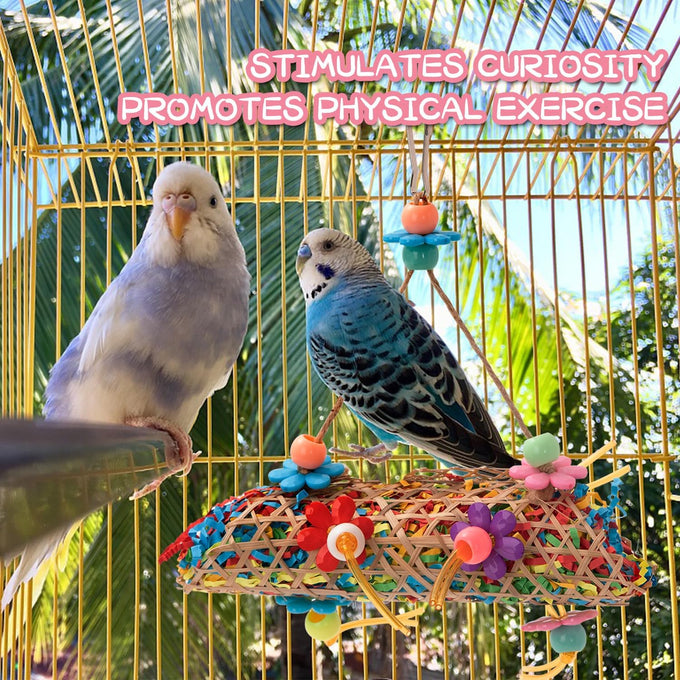 RLRICH 6 pack colorful parrot foraging shredder toys with comfy perch for parakeet and small medium parrots