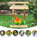 frgkbtm bird perch cage toy wooden platform play gym for parrots, green cheeks, lovebirds, chinchillas, hamsters, budgies