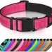 Joytale Reflective Dog Collar with Soft Neoprene Padded, Metal D-Ring, Adjustable for Large Dogs in Teal
