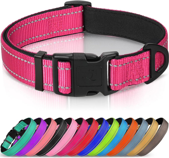 Joytale Reflective Dog Collar with Soft Neoprene Padded, Metal D-Ring, Adjustable for Large Dogs in Teal